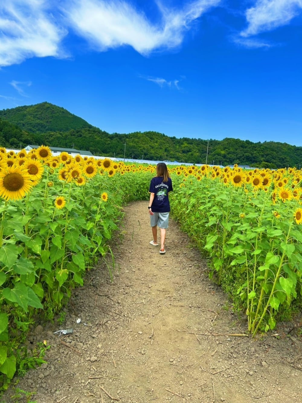 その他のTシャツ/カットソー、グレー系のパンツを着用したレディースの夏コーディネートの2枚目の写真