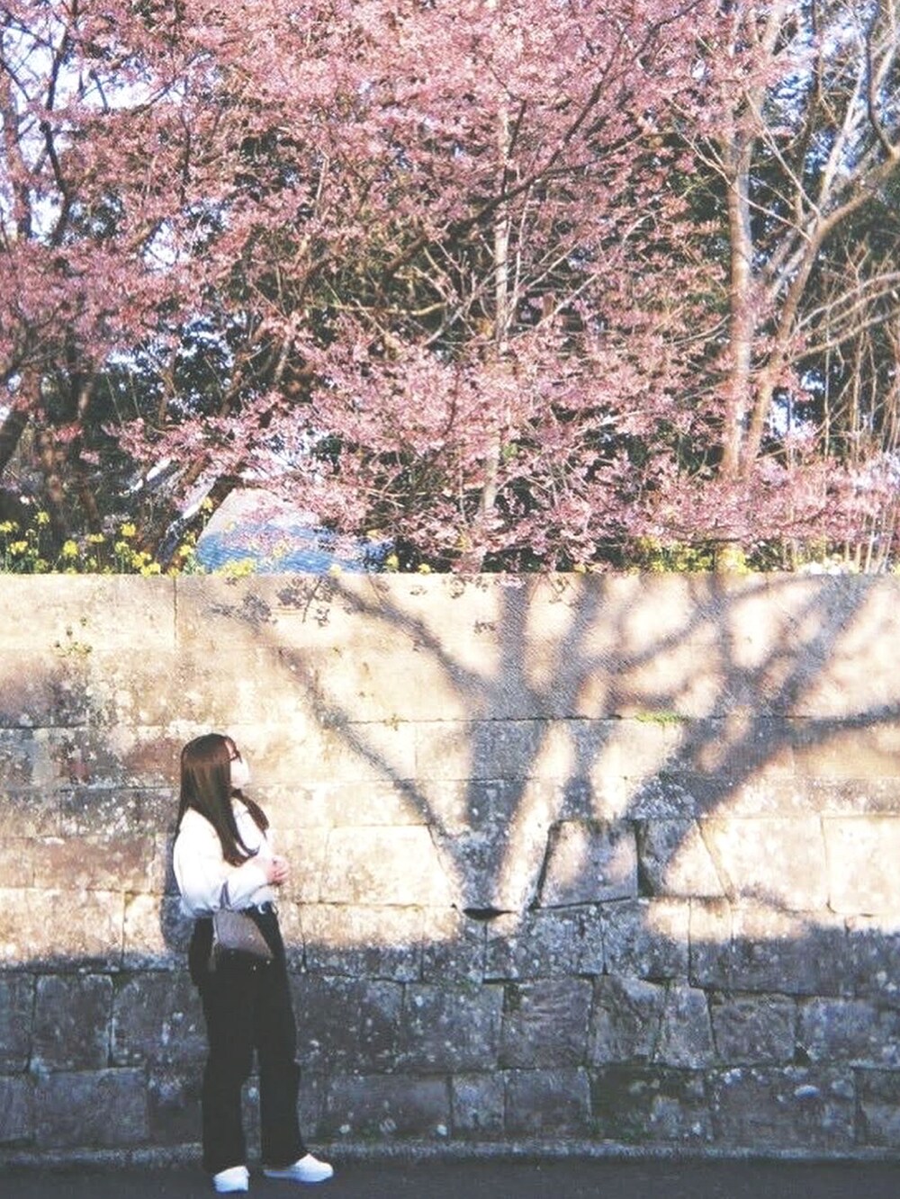 ホワイト系のトップス、ブラック系のパンツ、ブラウン系のトートバッグを着用したレディースの夏コーディネートの2枚目の写真