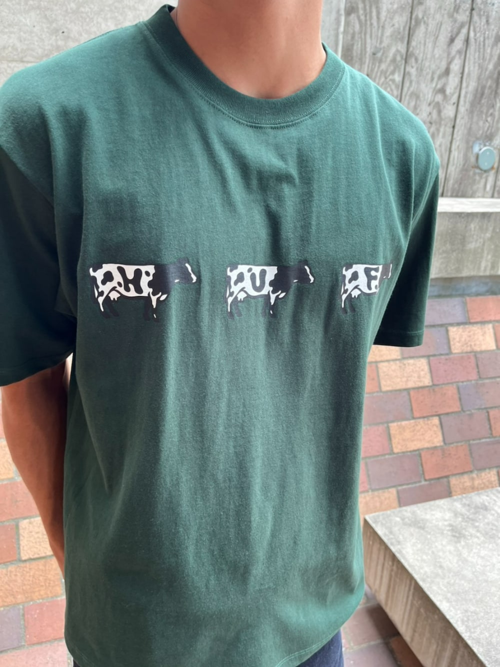 ブルー系のデニムパンツ、グリーン系のTシャツ/カットソーを着用したメンズの夏コーディネートの2枚目の写真