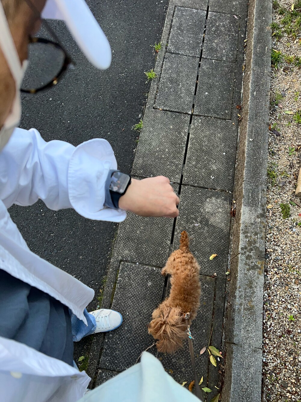 ブルー系のデニムパンツ、ホワイト系のシャツ/ブラウス、グレー系のTシャツ/カットソーを着用したメンズの春コーディネートの2枚目の写真