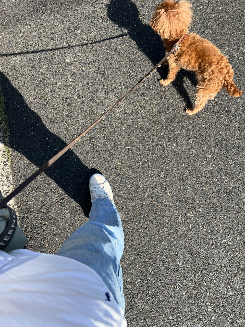 ブルー系のデニムパンツ、ホワイト系のシャツ/ブラウス、グレー系のTシャツ/カットソーを着用したメンズの春コーディネートの3枚目の写真