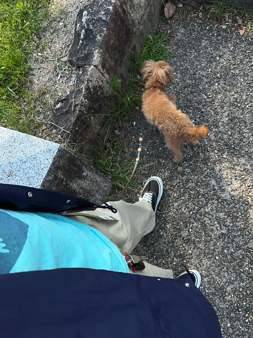 ベージュ系のチノパンツ、ブルー系のナイロンジャケット、ブラック系のスニーカーを着用したメンズの春コーディネートの3枚目の写真