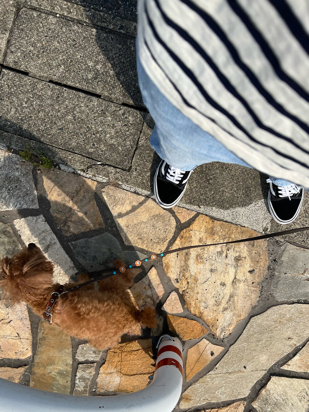 ブルー系のTシャツ/カットソー、ブルー系のデニムパンツ、ブラック系のスニーカーを着用したメンズの夏コーディネートの3枚目の写真