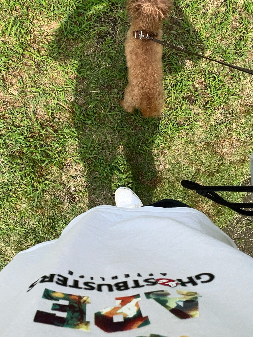 ホワイト系のTシャツ/カットソー、ブルー系のチノパンツ、ホワイト系のスニーカーを着用したメンズの夏コーディネートの3枚目の写真