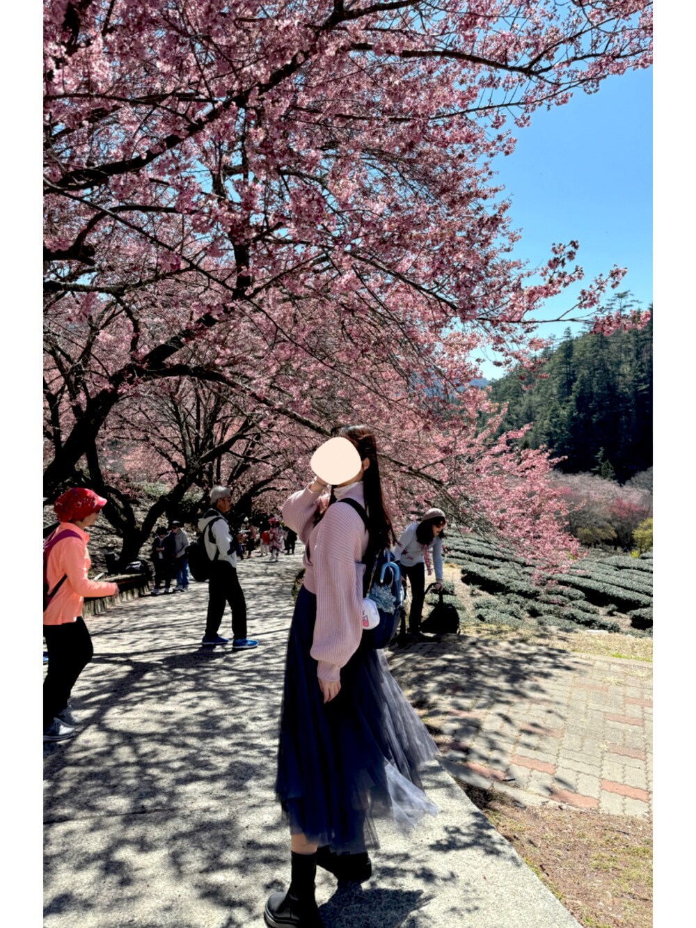 「大人かわいい、春カラー、春コーデ、桜、休みコーデ、INGNI、GU、Taiwan、Taichung、高身長女子、おしゃれさんと繋がりたい」｜「INGNIのリブクロスニット（ニット/セーター、ピンク系）」を使った、Yunさん（レディース・166cm）の冬コーディネートの2枚目の写真