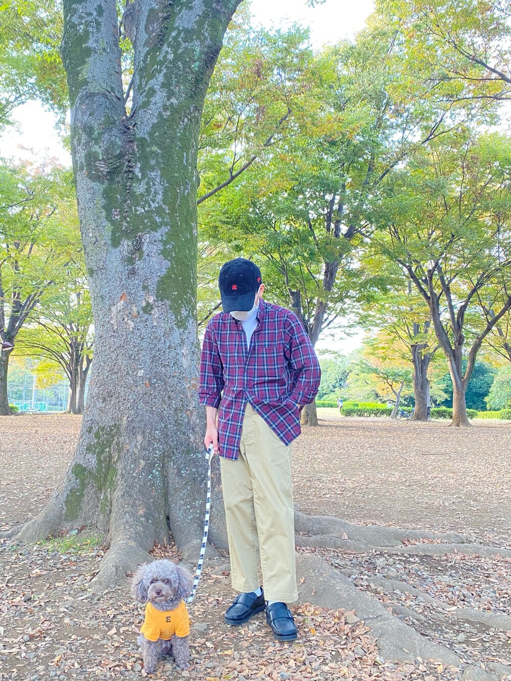 レッド系のシャツ/ブラウス、ホワイト系のTシャツ/カットソー、ベージュ系のチノパンツを着用したメンズの秋コーディネートの2枚目の写真