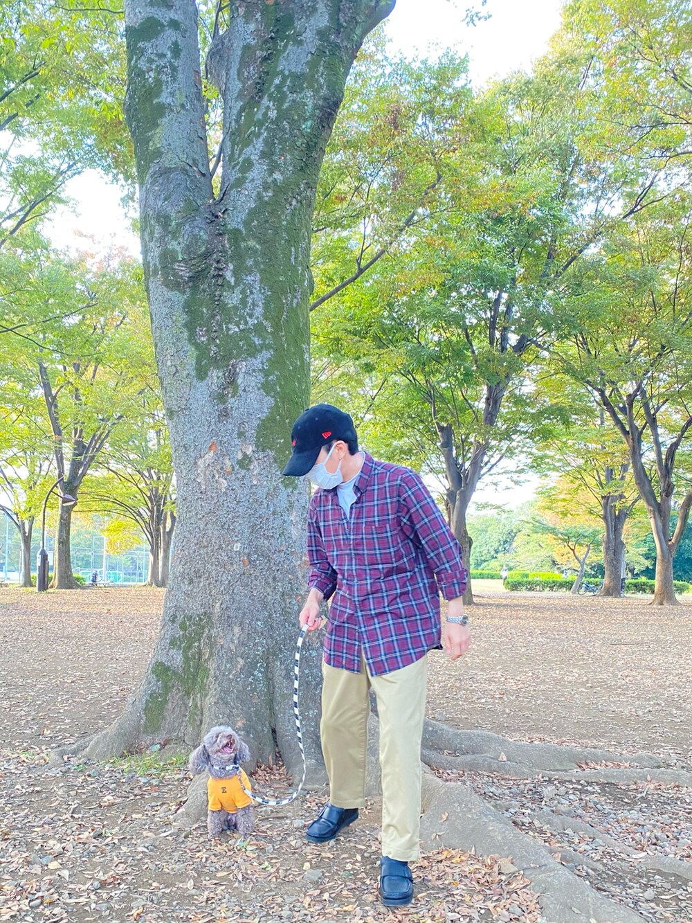 レッド系のシャツ/ブラウス、ホワイト系のTシャツ/カットソー、ベージュ系のチノパンツを着用したメンズの秋コーディネートの3枚目の写真