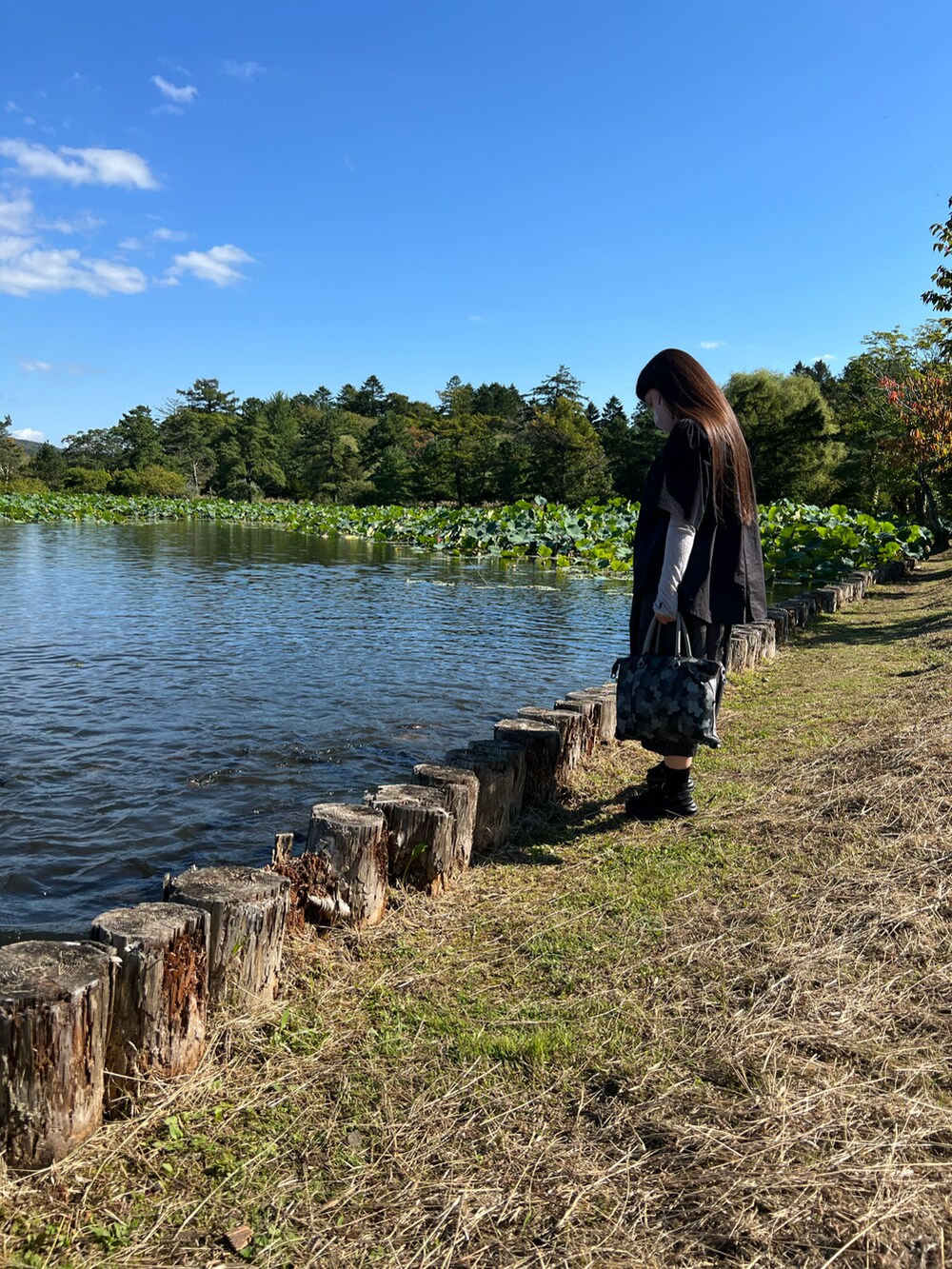 ブラック系のシャツ/ブラウス、グレー系のバッグ、グレー系のその他パンツを着用したレディースの秋コーディネートの2枚目の写真