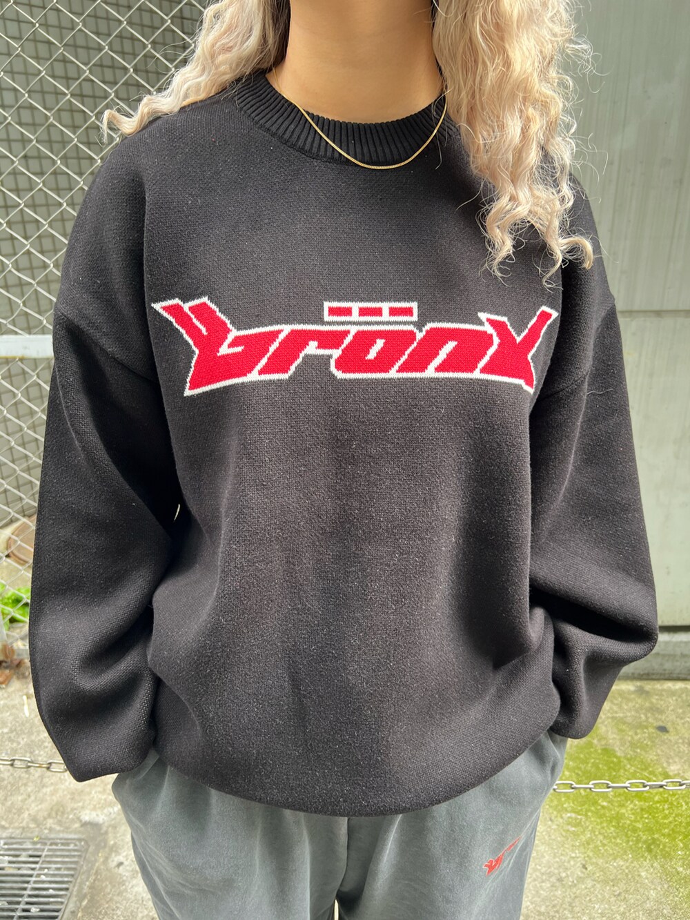 ブラック系のベスト、ブラック系のニット/セーター、グレー系のスウェットパンツを着用したレディースの秋コーディネートの4枚目の写真