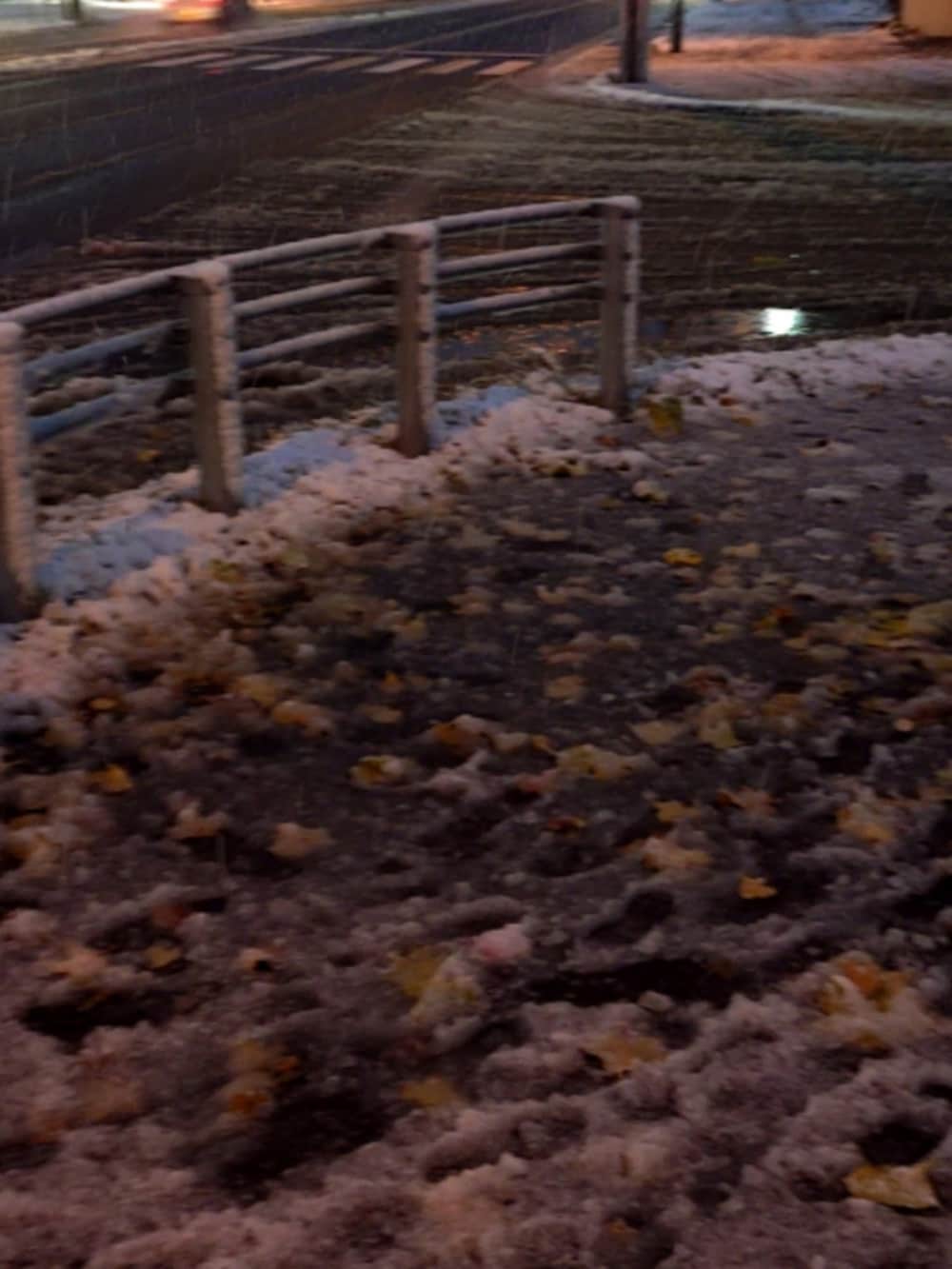 ブラック系のブルゾン、その他のニット/セーター、ブラック系のパンツを着用したメンズの秋コーディネートの5枚目の写真