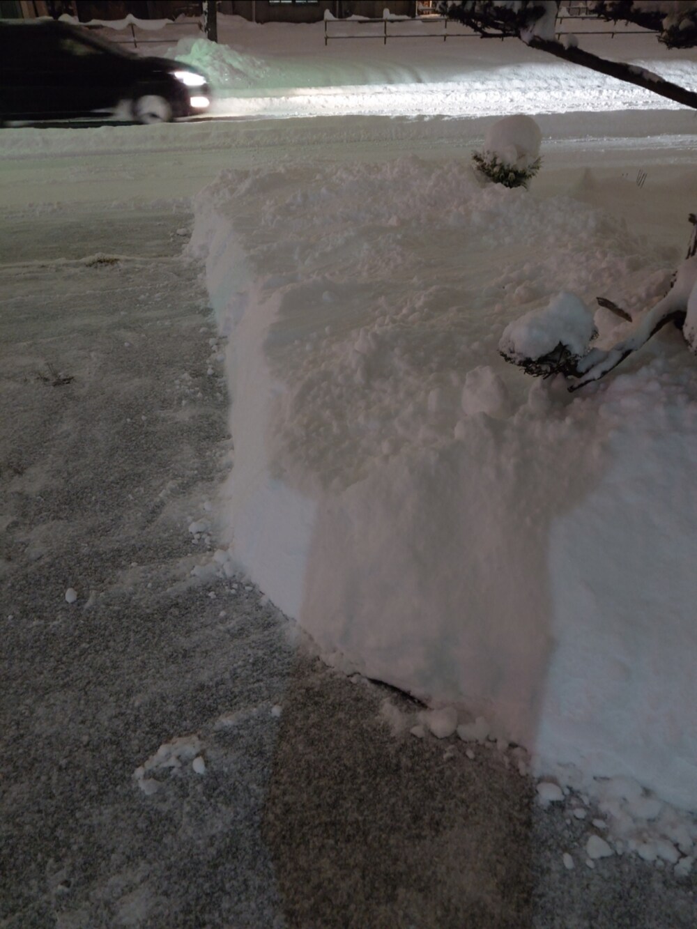 ホワイト系のその他アウター、ブラック系のデニムパンツ、レッド系のスニーカーを着用したメンズの秋コーディネートの3枚目の写真