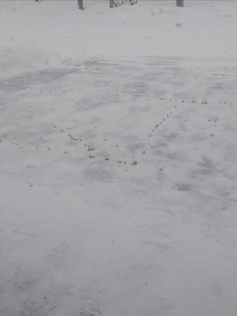 ベージュ系のダウンジャケット/コート、グリーン系のブルゾン、グリーン系のパンツを着用したメンズの冬コーディネートの3枚目の写真