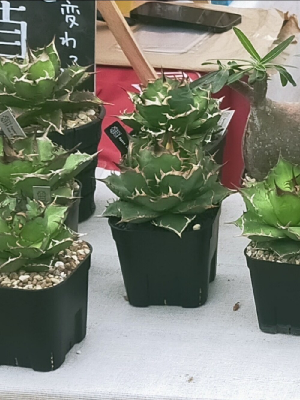 ブラック系のテーラードジャケット、ブラック系のデニムパンツ、ブラック系のブーツを着用したメンズの冬コーディネートの2枚目の写真