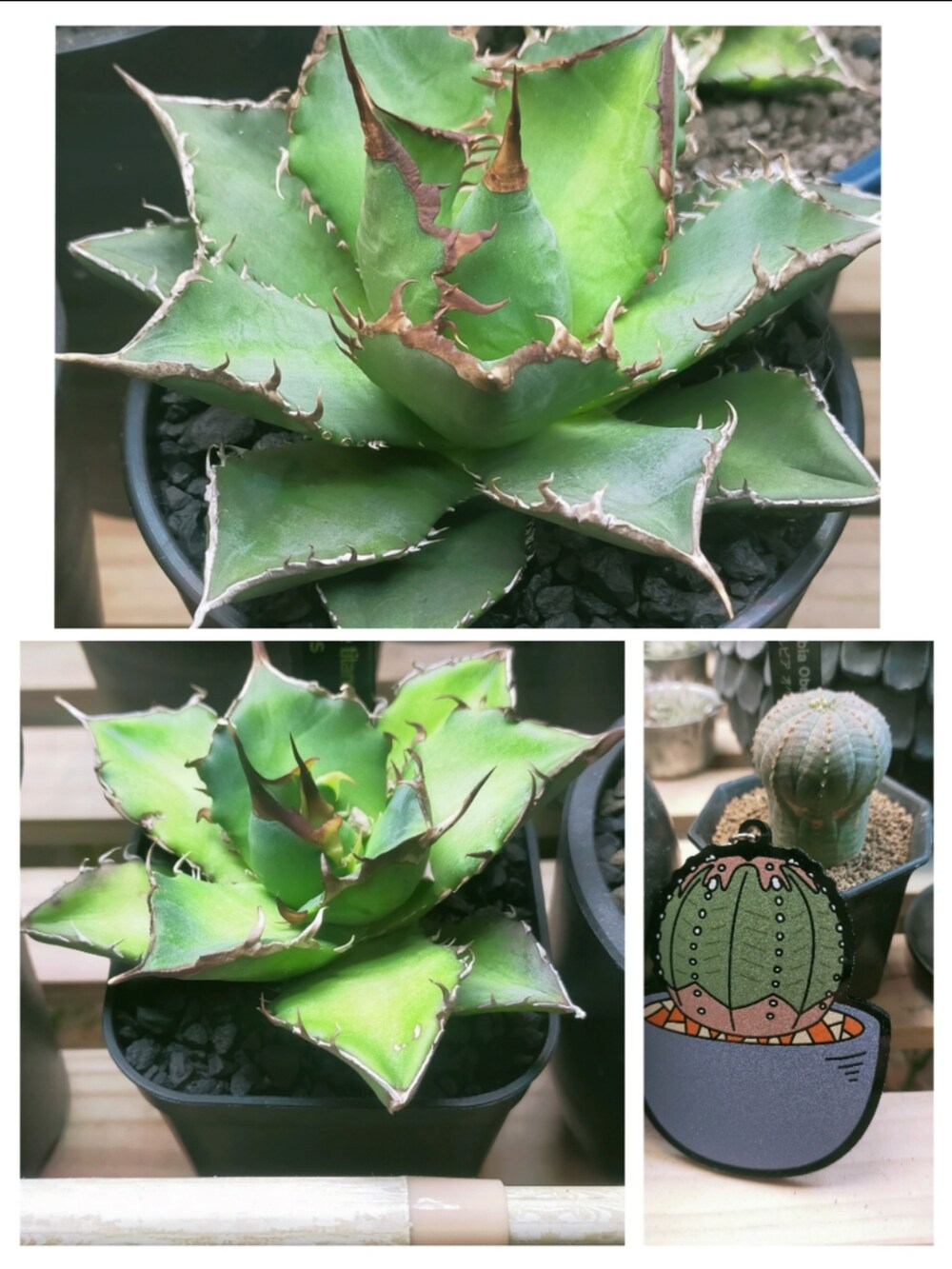 ブラック系のテーラードジャケット、ブラック系のデニムパンツ、ブラック系のブーツを着用したメンズの冬コーディネートの5枚目の写真