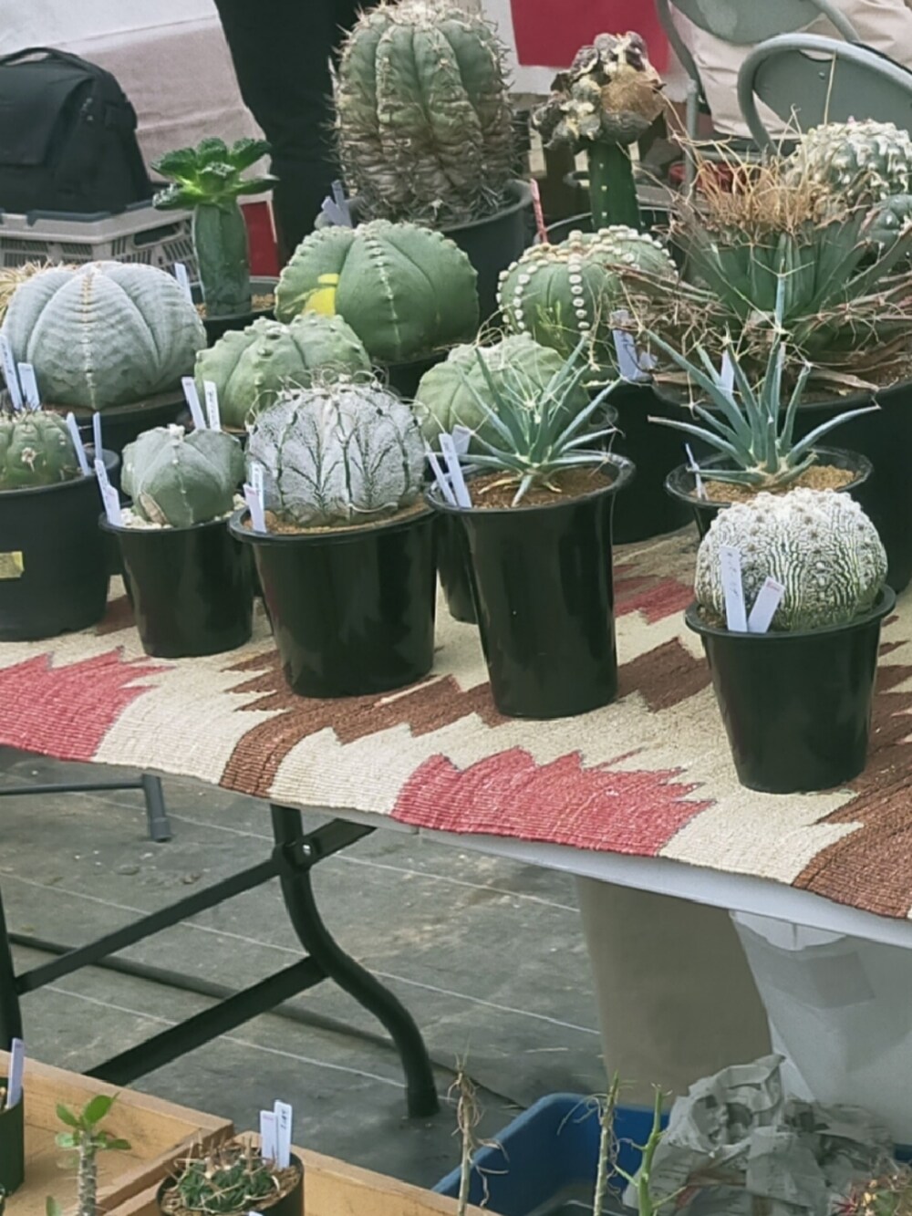 ブラック系のテーラードジャケット、ブラック系のデニムパンツ、ブラック系のブーツを着用したメンズの冬コーディネートの3枚目の写真