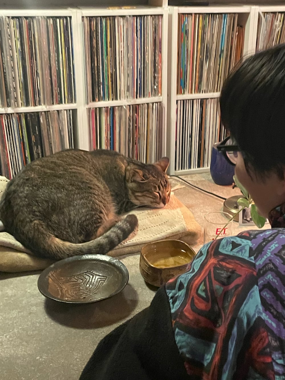 ブルー系のジャージ、ブルー系のテーラードジャケットを着用したメンズの春コーディネートの2枚目の写真