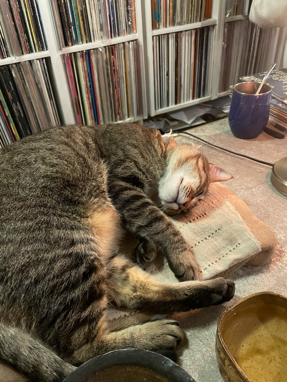 ブルー系のジャージ、ブルー系のテーラードジャケットを着用したメンズの春コーディネートの3枚目の写真