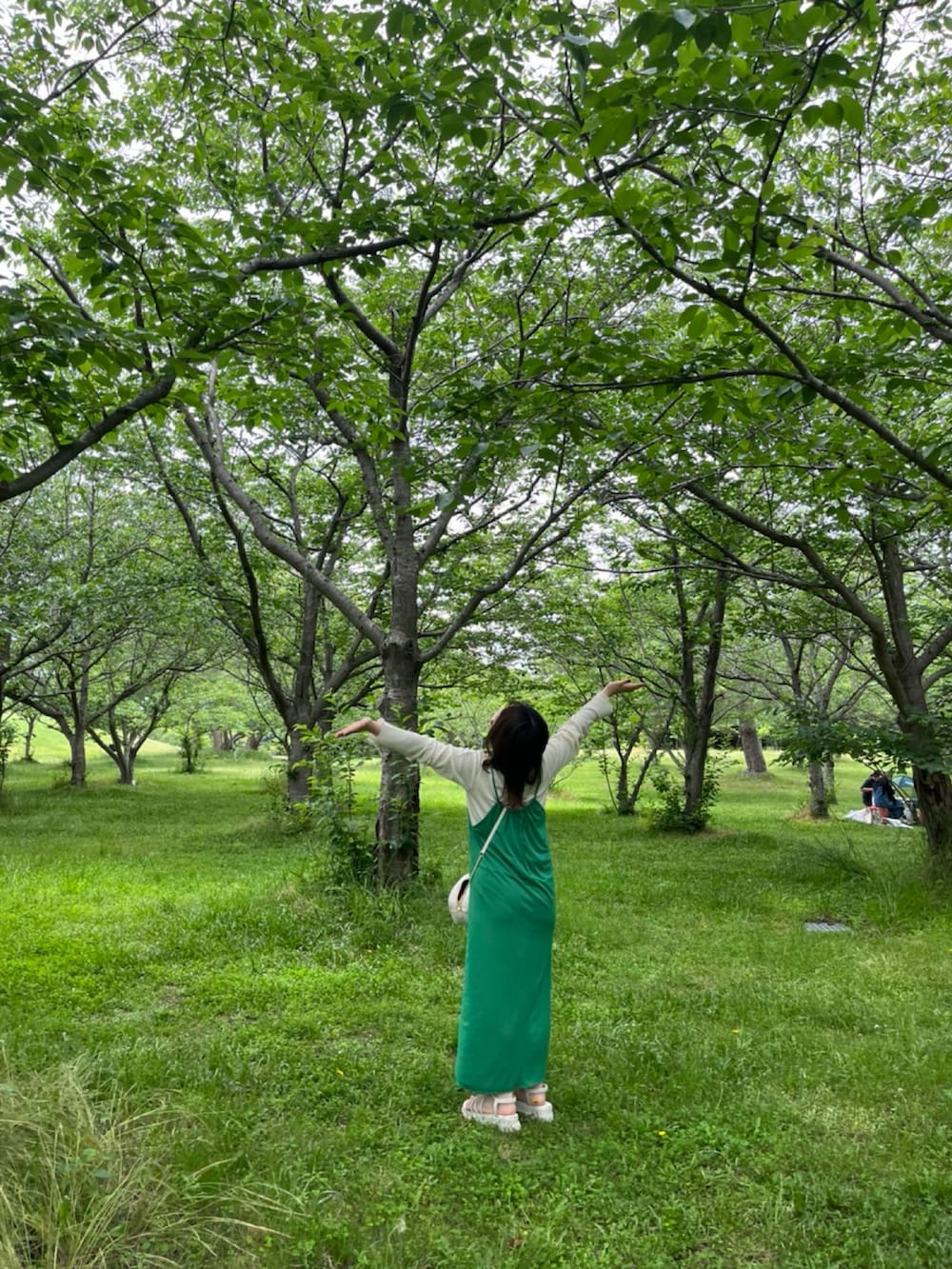 グリーン系のワンピース、ホワイト系のTシャツ/カットソー、ホワイト系のショルダーバッグを着用したレディースの春コーディネートの2枚目の写真