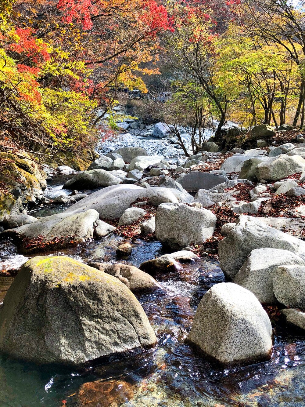 その他のパーカー、ベージュ系のベスト、ブラック系のその他パンツを着用したキッズの秋コーディネートの3枚目の写真