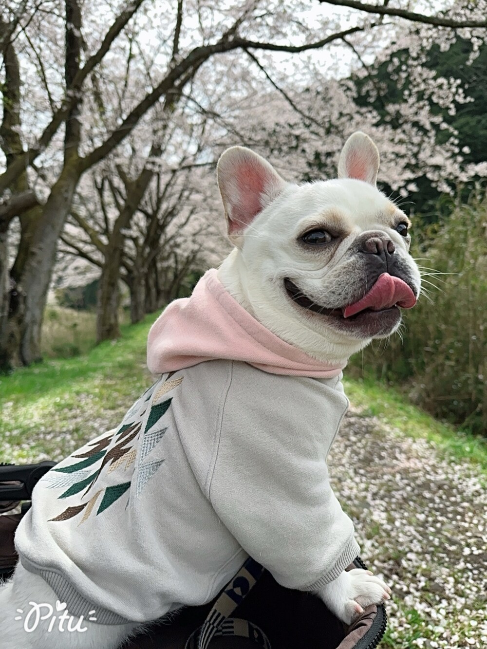 グリーン系のスウェット、ブルー系のデニムパンツ、ブルー系のパンツを着用したキッズの春コーディネートの3枚目の写真