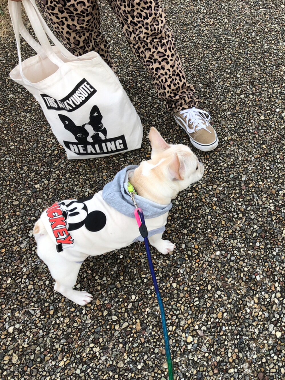 ピンク系のスウェット、ベージュ系のその他パンツ、ブラウン系のスニーカーを着用したキッズの冬コーディネートの3枚目の写真