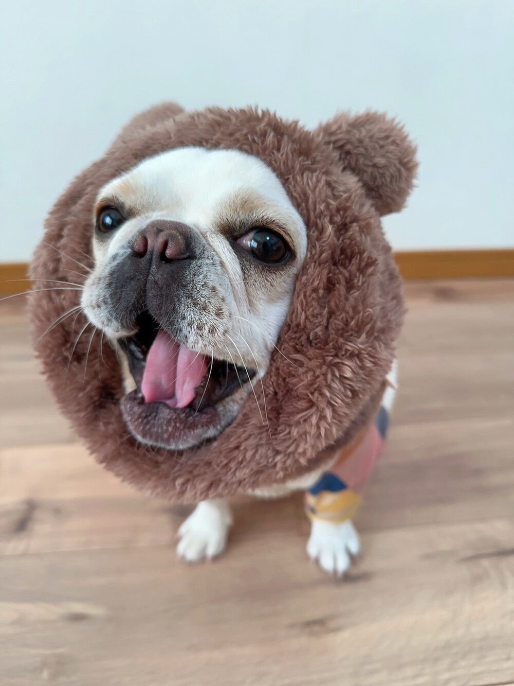 ベージュ系のその他トップス、その他のその他パンツ、グレー系のブーツを着用したキッズの冬コーディネートの5枚目の写真