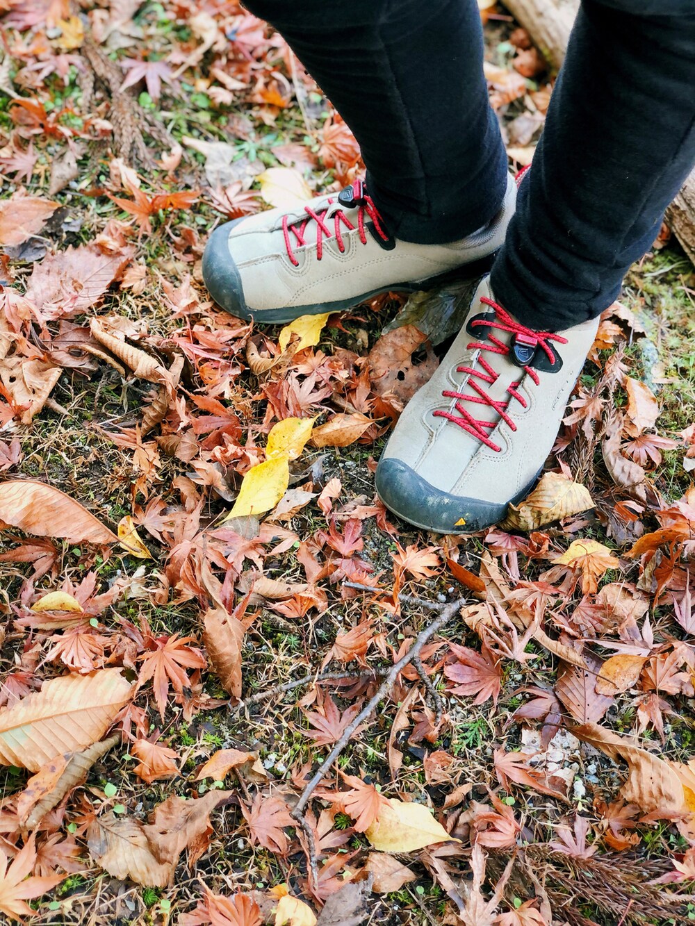 その他のパーカー、ベージュ系のベスト、ブラック系のその他パンツを着用したキッズの秋コーディネートの2枚目の写真