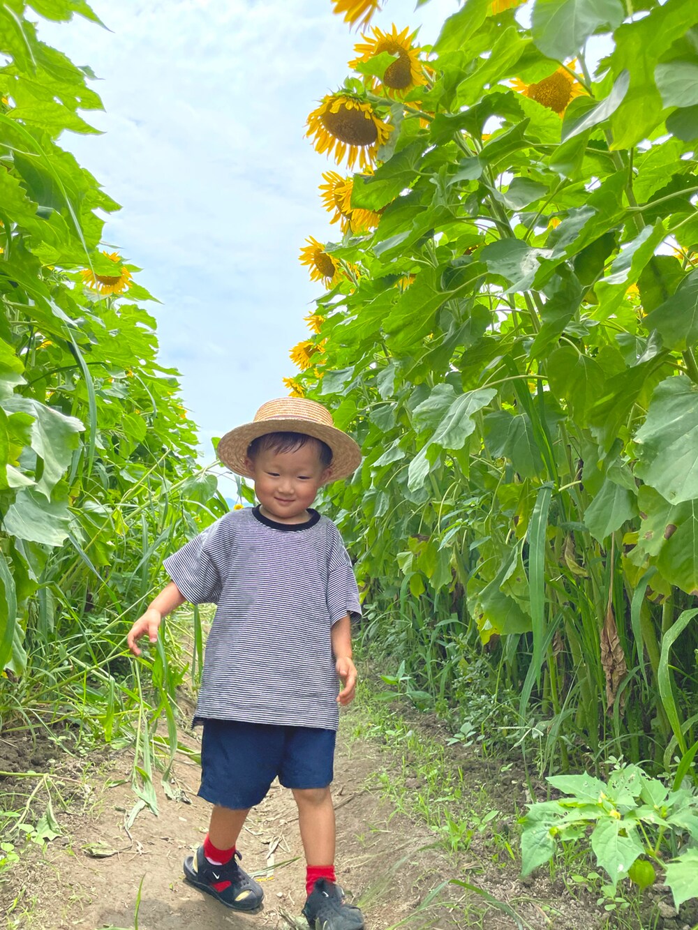 ブラック系のTシャツ/カットソー、ブルー系のその他パンツ、ブラック系のサンダルを着用したキッズの夏コーディネートの3枚目の写真