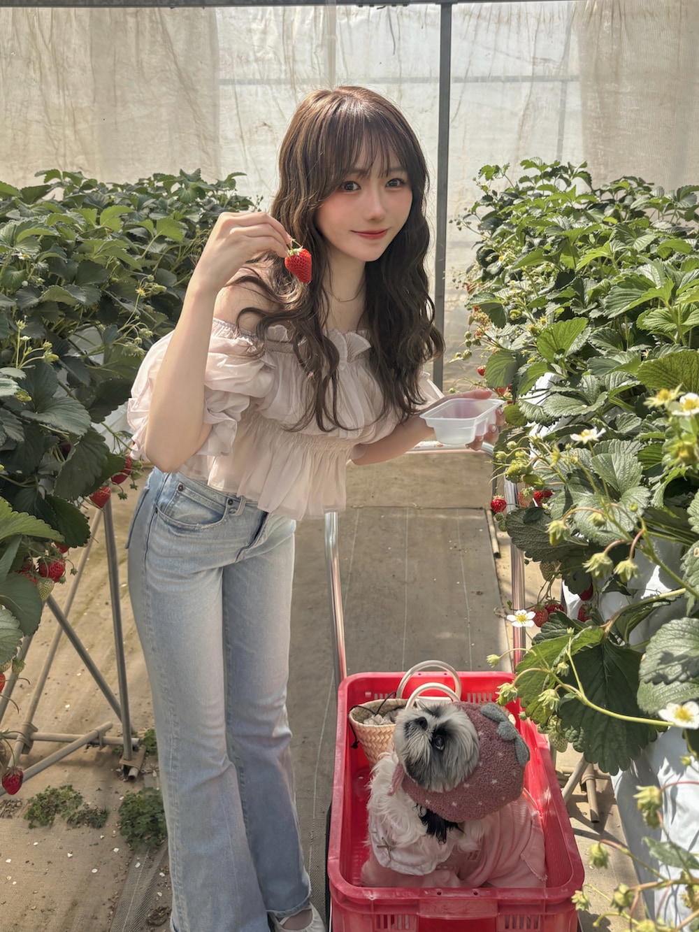 ピンク系のシャツ/ブラウス、ホワイト系のパンプス、ホワイト系のバッグを着用したレディースの春コーディネートの3枚目の写真