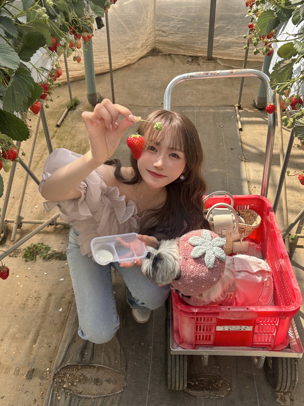 ピンク系のシャツ/ブラウス、ホワイト系のパンプス、ホワイト系のバッグを着用したレディースの春コーディネートの4枚目の写真