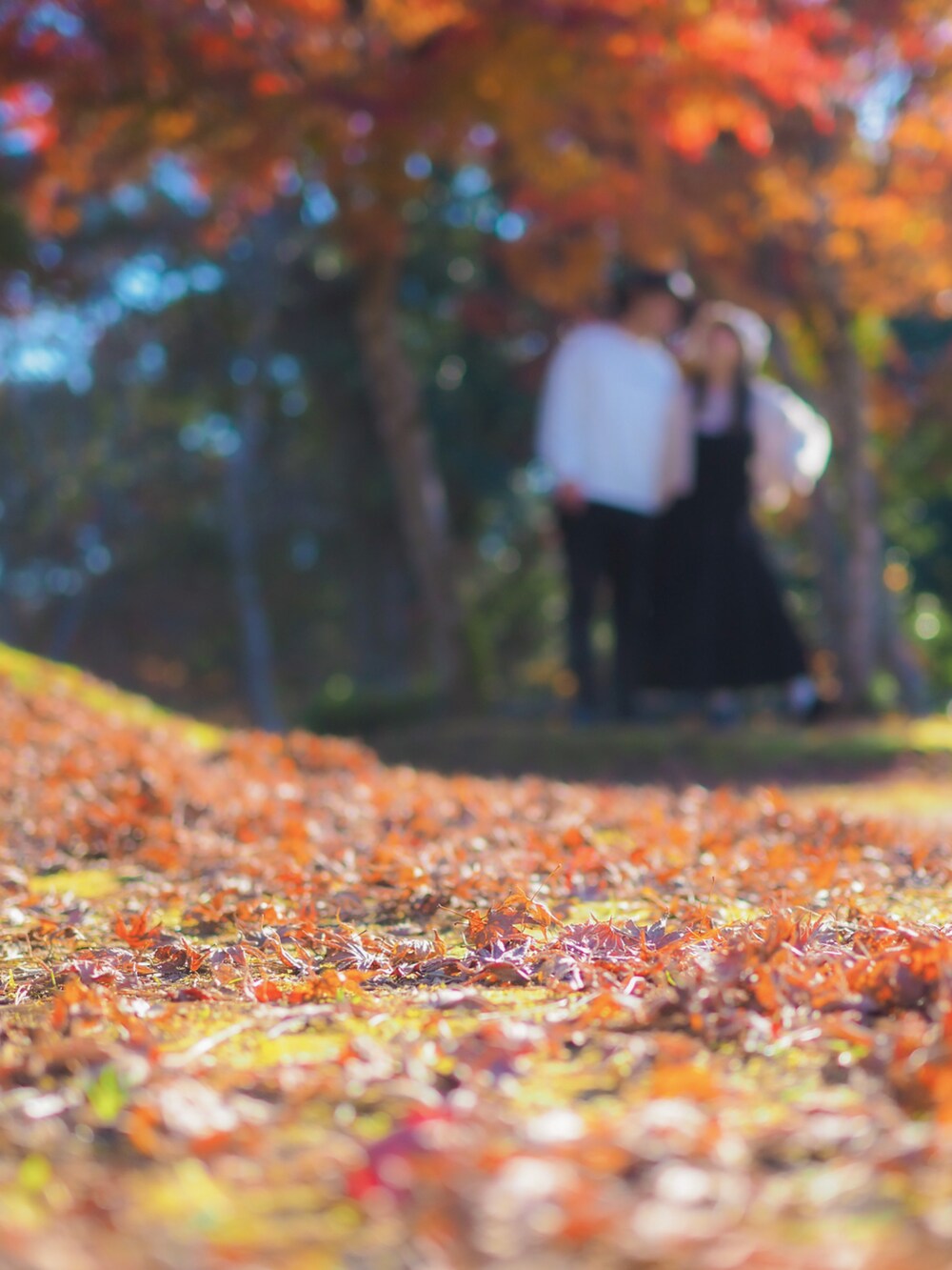 ブラック系のワンピース、ホワイト系のスウェット、ブラック系のその他パンツを着用したレディースの秋コーディネートの3枚目の写真