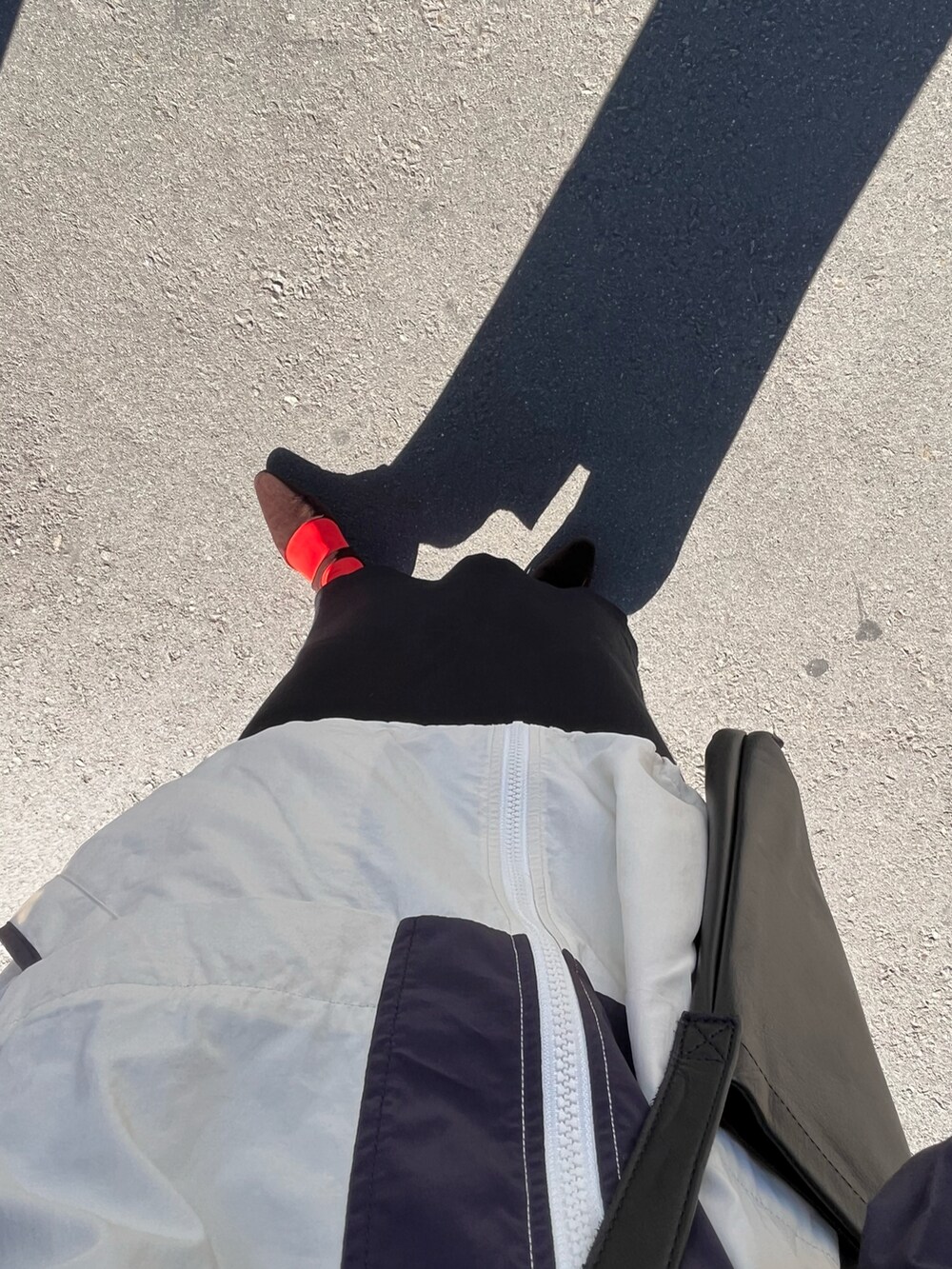 ブラウン系のパンプス、ベージュ系のブルゾンを着用したレディースの冬コーディネートの3枚目の写真