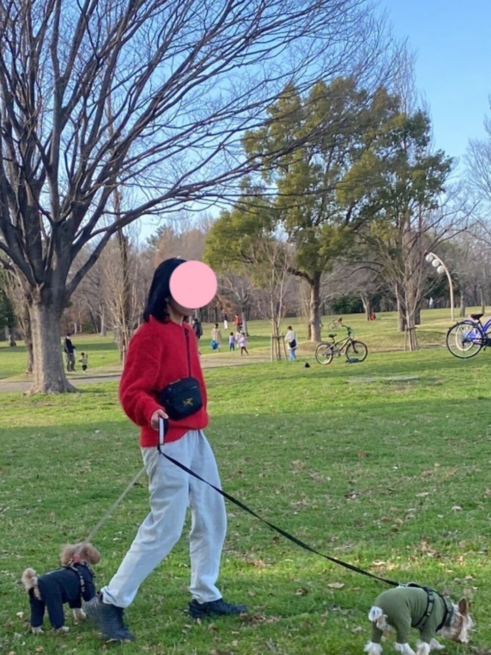 レッド系のニット/セーター、グレー系のスウェットパンツを着用したレディースの冬コーディネートの3枚目の写真