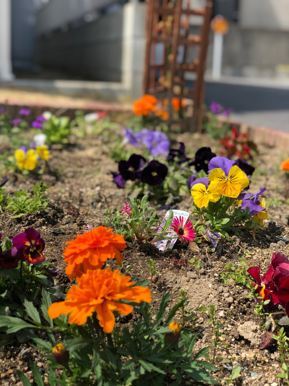 グリーン系のセットアップ、ブラック系のローファー、ブルー系の帽子を着用したメンズの春コーディネートの3枚目の写真