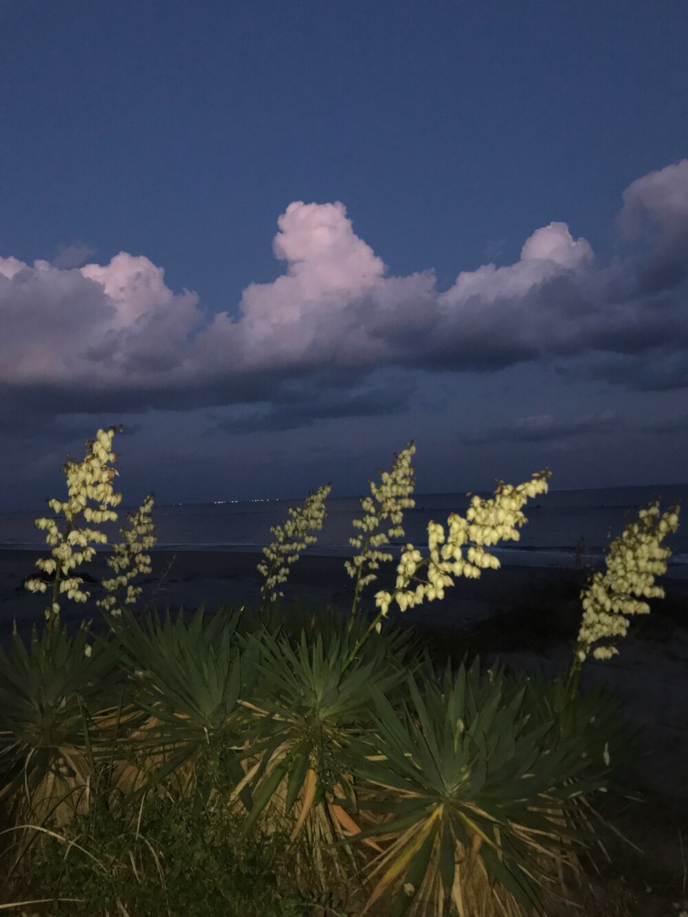 グリーン系のその他を着用したメンズの秋コーディネートの5枚目の写真