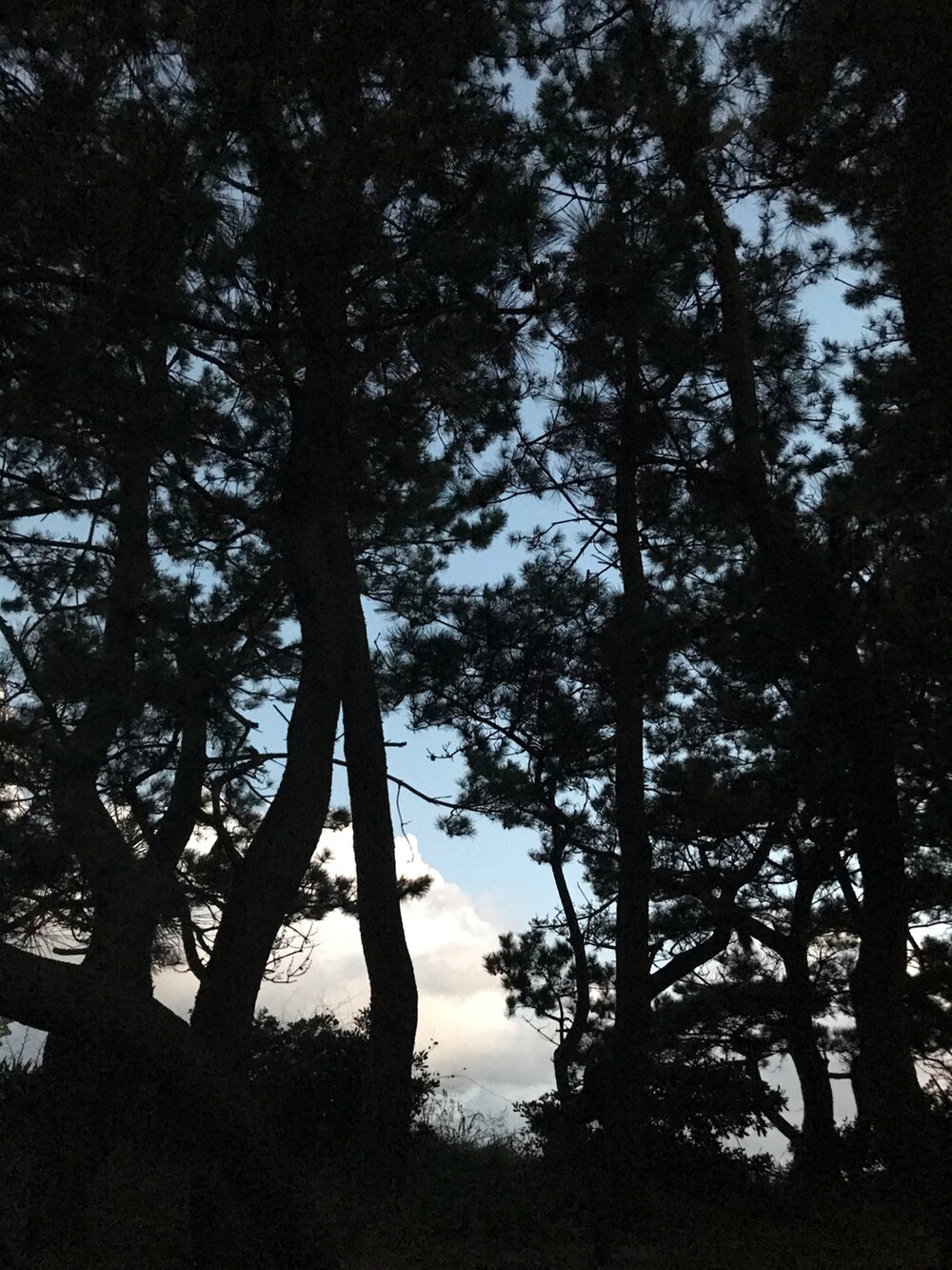 グリーン系のその他を着用したメンズの秋コーディネートの4枚目の写真