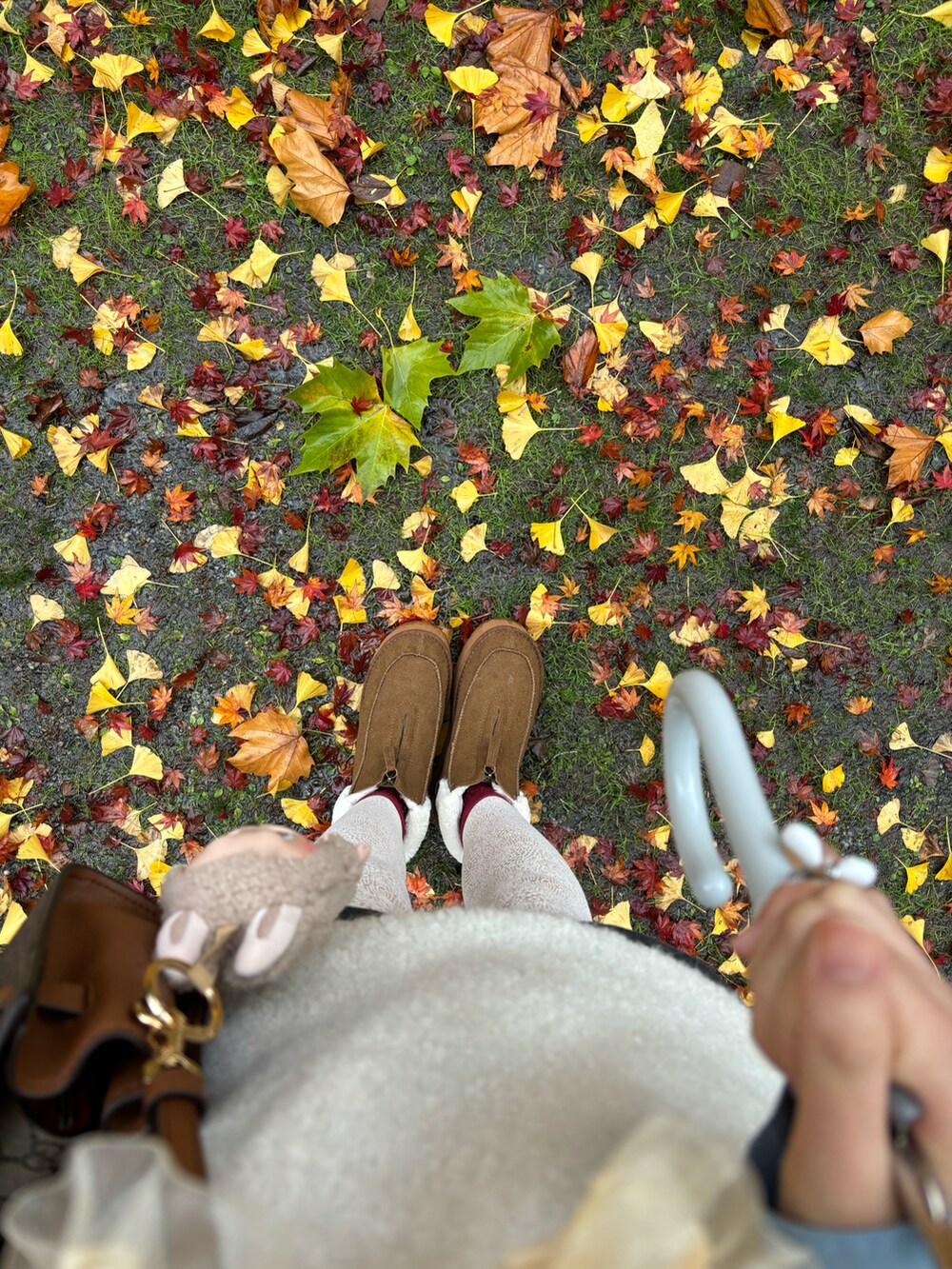 ホワイト系のニット/セーター、ブルー系のシャツ/ブラウス、ブラウン系のショルダーバッグを着用したレディースの秋コーディネートの2枚目の写真