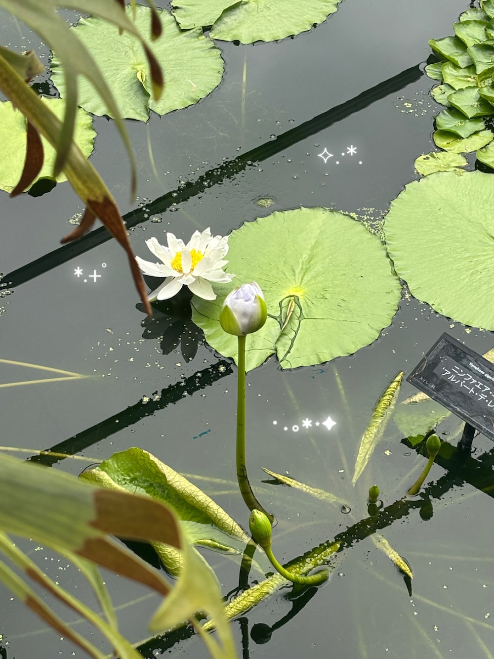 ベージュ系のスニーカーを着用したレディースの秋コーディネートの2枚目の写真