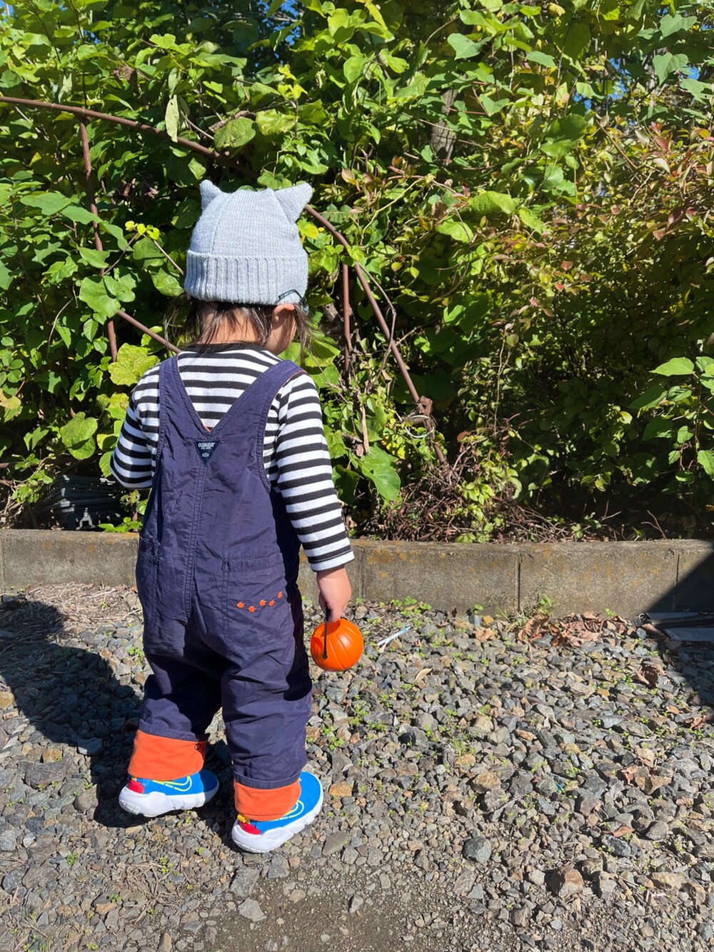 「キッズコーデ、キッズファッション、WEARハロウィン2022、ハロウィン、ボーダー、サロペット、オーバーオール、ニット帽、ネコミミ」｜「NIKEのナイキ フレックス ランナー 2 キッズシューズ / Nike Flex Runner 2 Baby/Toddler Shoes（スニーカー、ブルー系）」を使った、manaさん（キッズ・80cm）の秋コーディネートの3枚目の写真