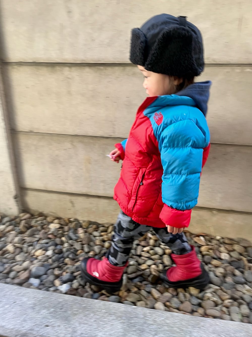レッド系のジャケット/アウター、ブルー系のパーカー、レッド系のシューズを着用したキッズの冬コーディネートの2枚目の写真