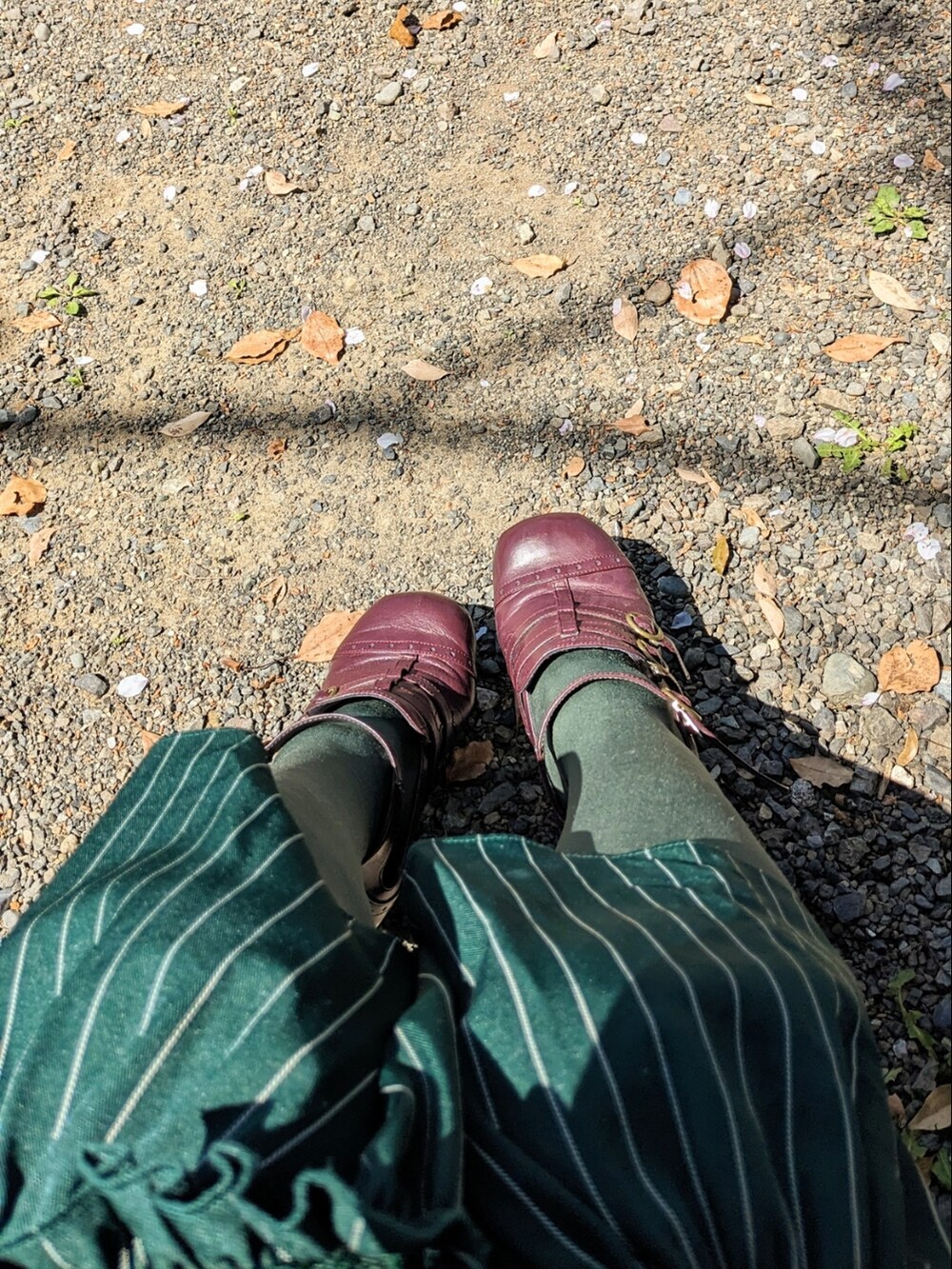 「休日コーデ、お出かけコーデ、シンプルコーデ、春、おしゃれさんと繋がりたい、MTF、LGBT」｜「OZZ ONESTEのアイテム（シャツ/ブラウス、ベージュ系）」を使った、ななお(七緒)さん（レディース・169cm）の春コーディネートの3枚目の写真