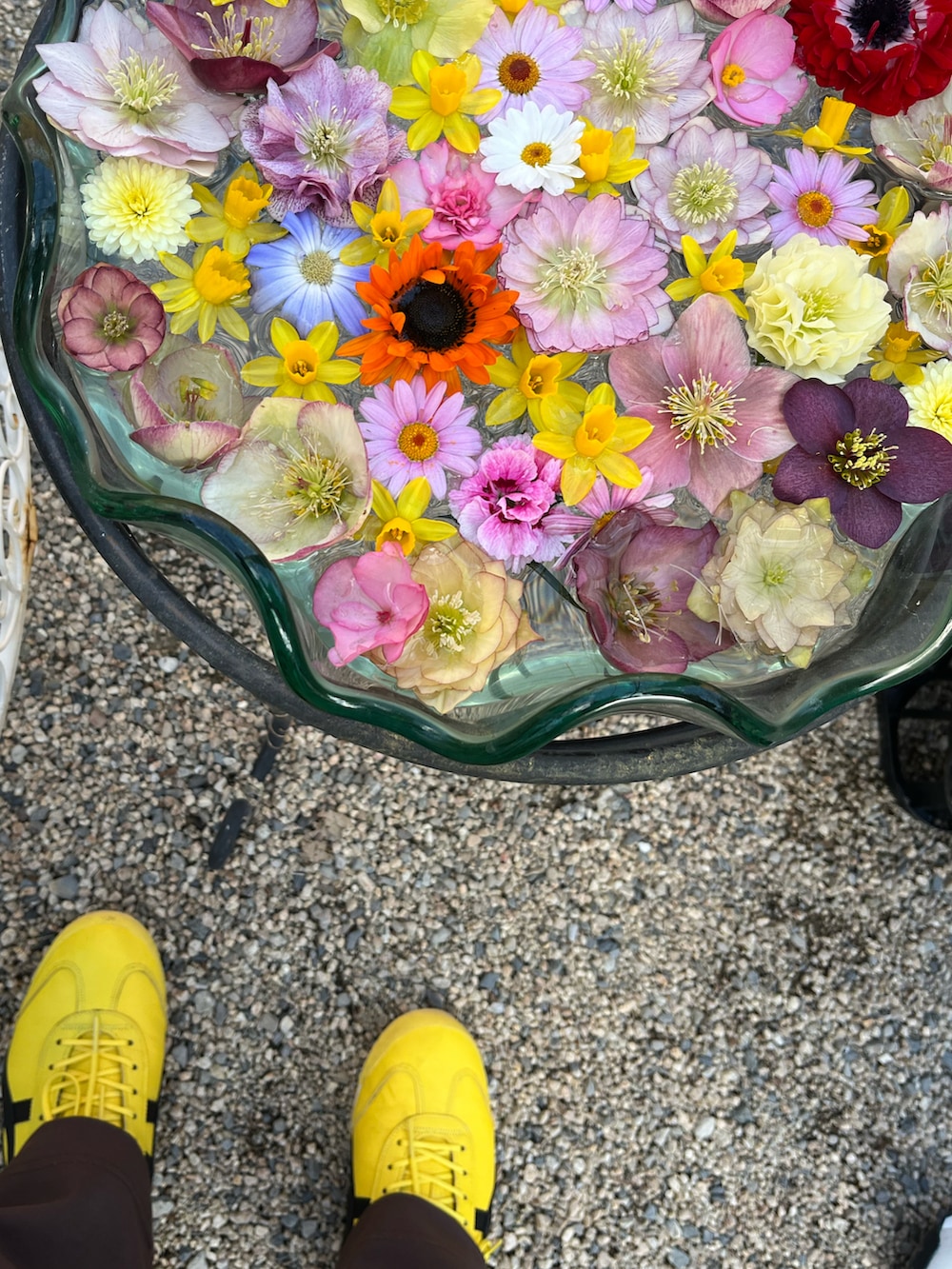 イエロー系のスニーカー、ブラウン系のパンツ、その他のムートンコートを着用したレディースの冬コーディネートの2枚目の写真