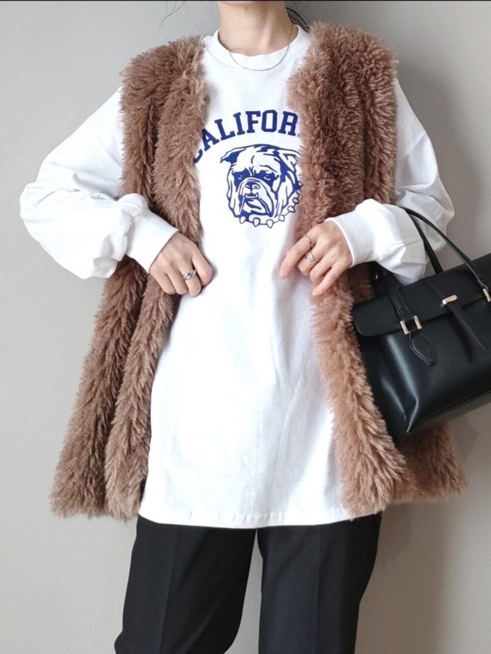 ホワイト系のTシャツ/カットソー、ブラウン系のベスト、ブラック系のハンドバッグを着用したレディースの秋コーディネートの2枚目の写真