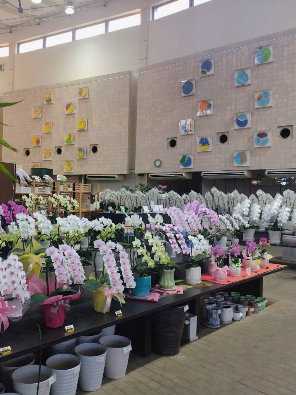 ブルー系のその他パンツ、ブラック系のTシャツ/カットソー、ブラック系のトップスを着用したメンズの秋コーディネートの4枚目の写真