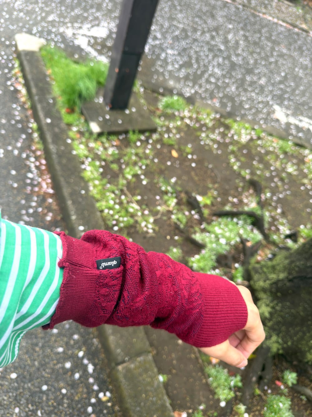 ベージュ系のサンダル、ベージュ系のチノパンツ、グリーン系のシャツ/ブラウスを着用したメンズの春コーディネートの3枚目の写真