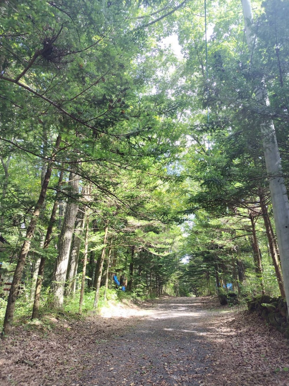 ブルー系のその他パンツ、ブラック系のTシャツ/カットソー、ブラック系のトップスを着用したメンズの秋コーディネートの5枚目の写真