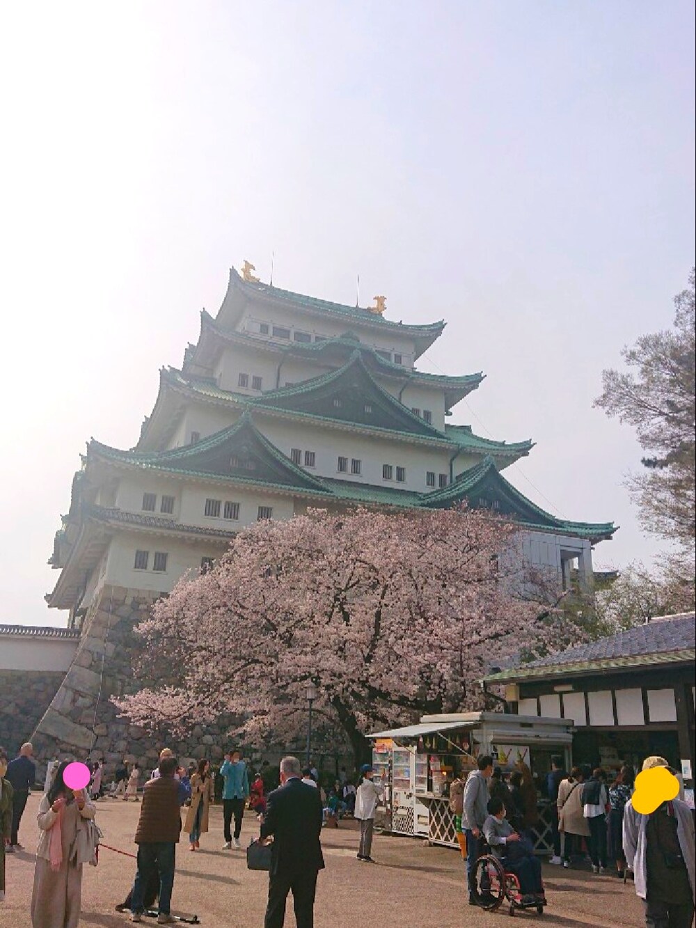 「カジュアルコーデ、春コーデ、休日スタイル、スニーカーコーデ、春、カーキ、ライダースジャケット、お花見、低身長、ミリタリー、お洒落さんとつながりたい」｜「Phateewearのアイテム（パンツ、ベージュ系）」を使った、靴好きくんさんさん（メンズ・166cm）の春コーディネートの3枚目の写真