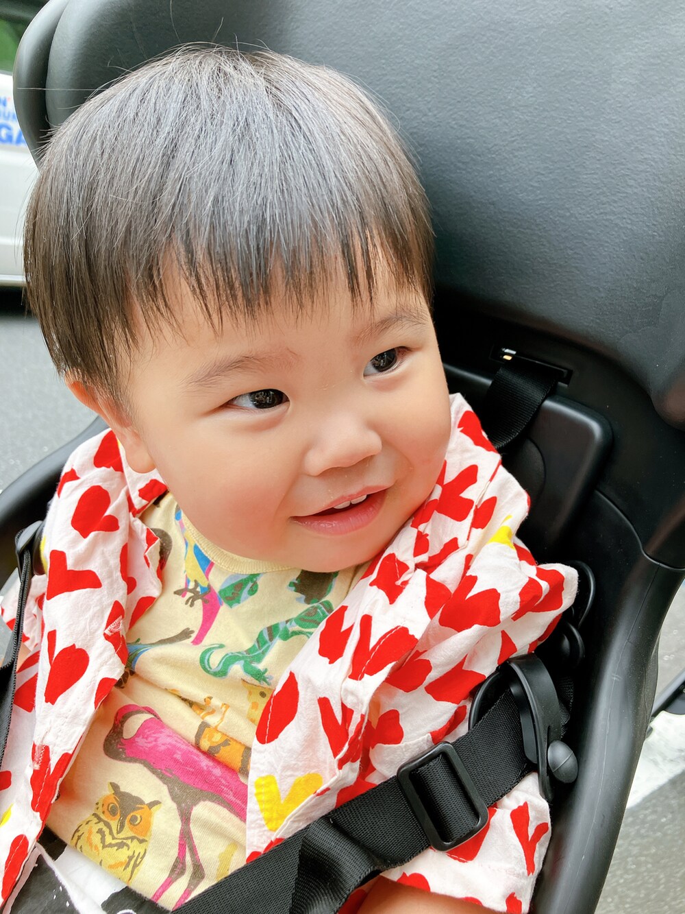 「男の子、ゆるコーデ、中国ブランド、なみすけ」｜「アリババのやつのアイテム（シャツ/ブラウス、レッド系）」を使った、りんちゃんのさん（キッズ・90cm）の秋コーディネートの4枚目の写真