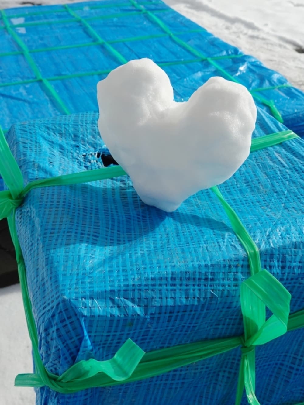 ブルー系のスウェット、ホワイト系のその他パンツ、ブルー系のトートバッグを着用したレディースの冬コーディネートの3枚目の写真