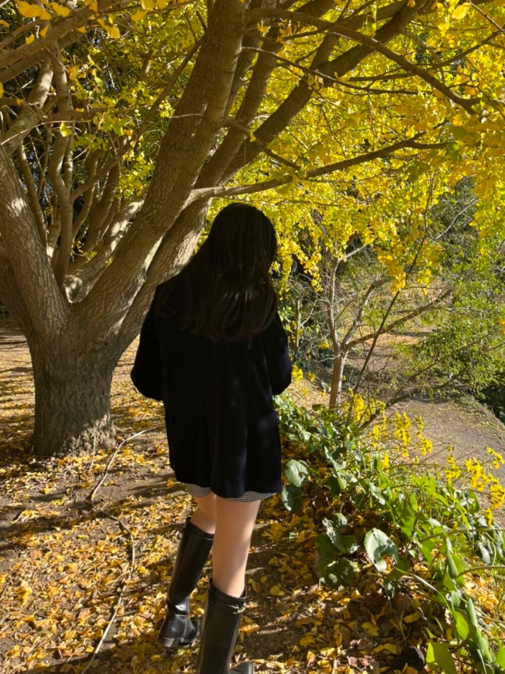 ピンク系のニット/セーター、ブラック系のテーラードジャケット、ブラック系のパンツを着用したレディースの冬コーディネートの2枚目の写真